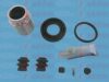 AUTOFREN SEINSA D42230C Repair Kit, brake caliper